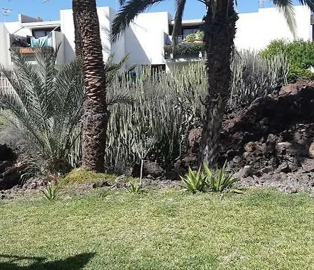 Primavera Gelijkvloers Met Ruim Terras En Wifi Apartment *